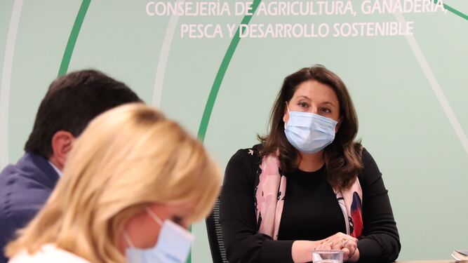 La Mesa de Interlocución Agraria de Andalucía ha reforzado la unidad de todo el sector en la defensa de un modelo justo de Política Agraria Común (PAC).