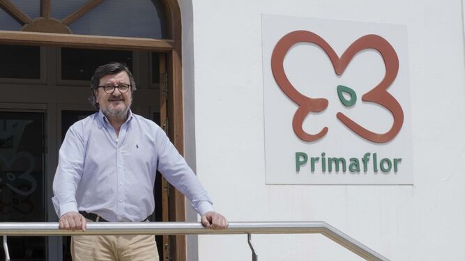Cecilio Peregrín, director corporativo de Primaflor