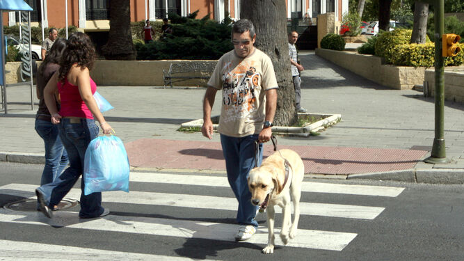 Una persona ciega junto a su perro guía.