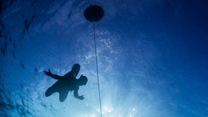 Un hombre se sumerge en el mar para practicar apnea.