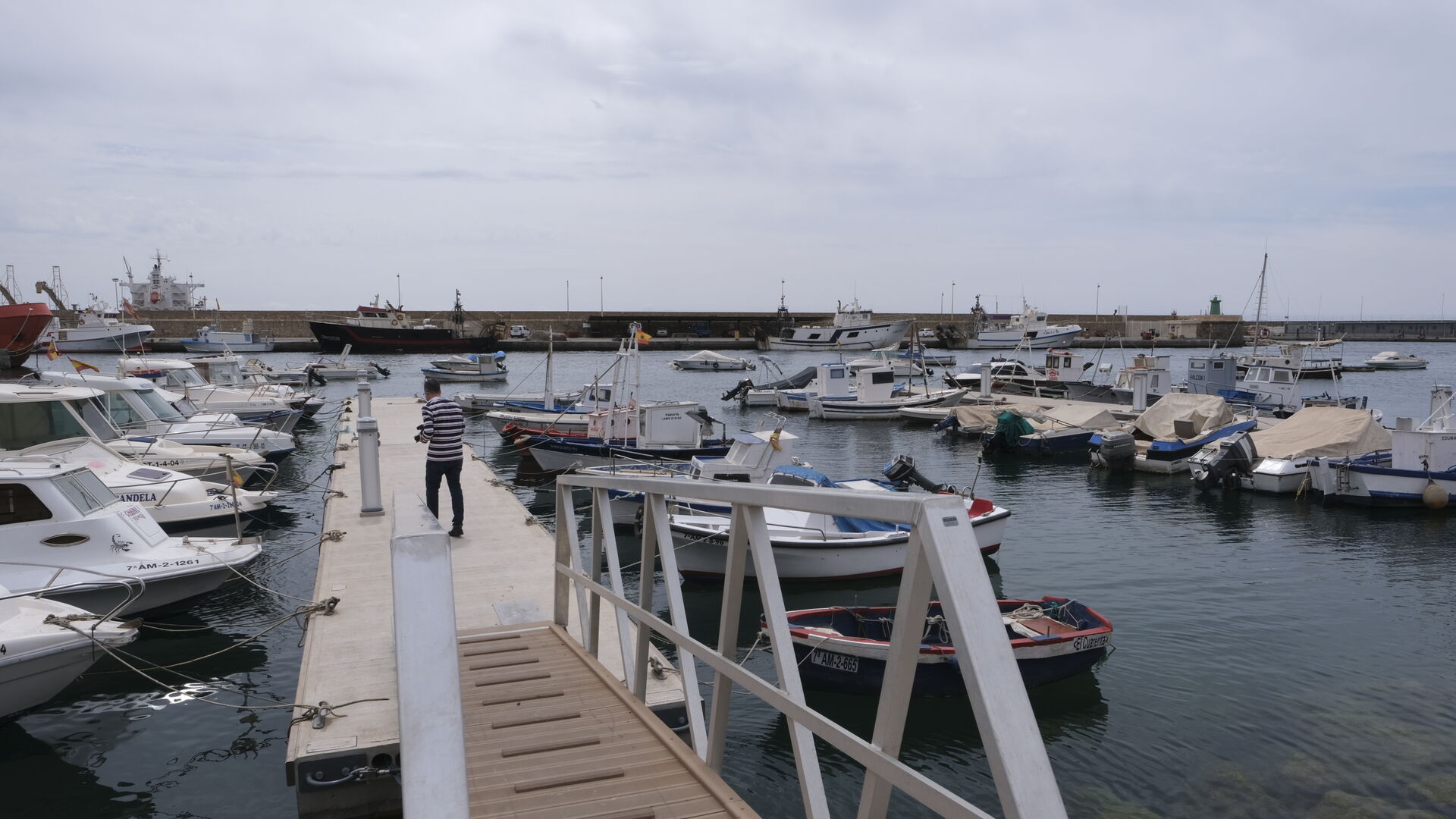 Fotogaler&iacute;a visita obras nuevo fondeadero del Puerto Pesquero de Almer&iacute;a