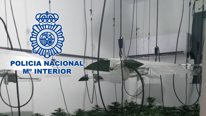 La Policía Nacional ha desmantelado una nueva plantación indoor de marihuana en Almería