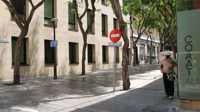 Calle peatonalizada, Antonio González Egea
