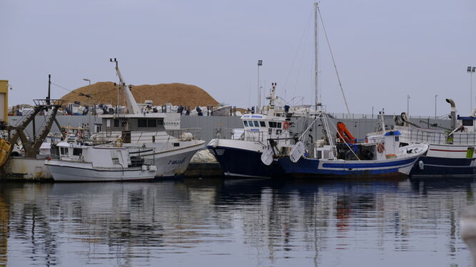 Puerto pesquero de Almería