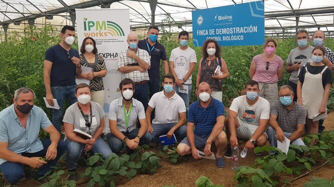 Uno de los grupos de Unica Group observan el control biológico en Tuta en tomate dentro del proyecto europeo H2020 IPMWorks