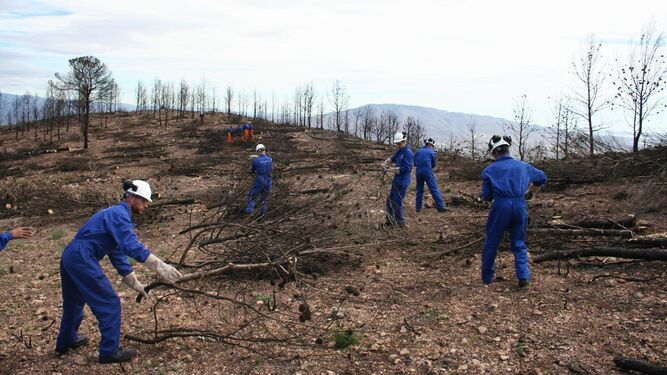 Condenan a Endesa a pagar 8,4 millones por el incendio en Sierra de Gádor en 2014