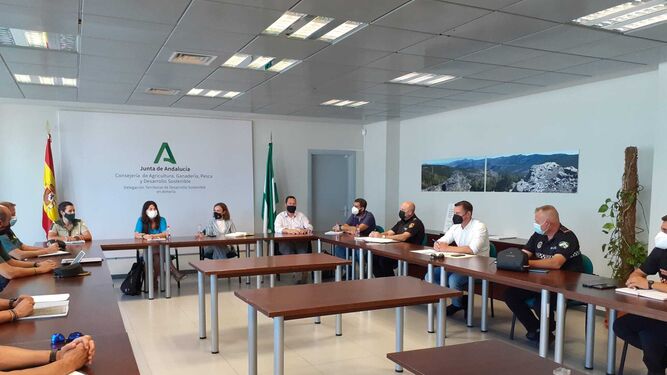 Imagen de la reunión de coordinación presidida por Raquel Espín.