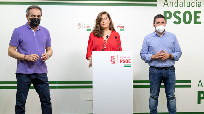 El PSOE denuncia que el PP oculta información sobre el ‘Caso mascarillas’ tras conocer más requerimientos judiciales