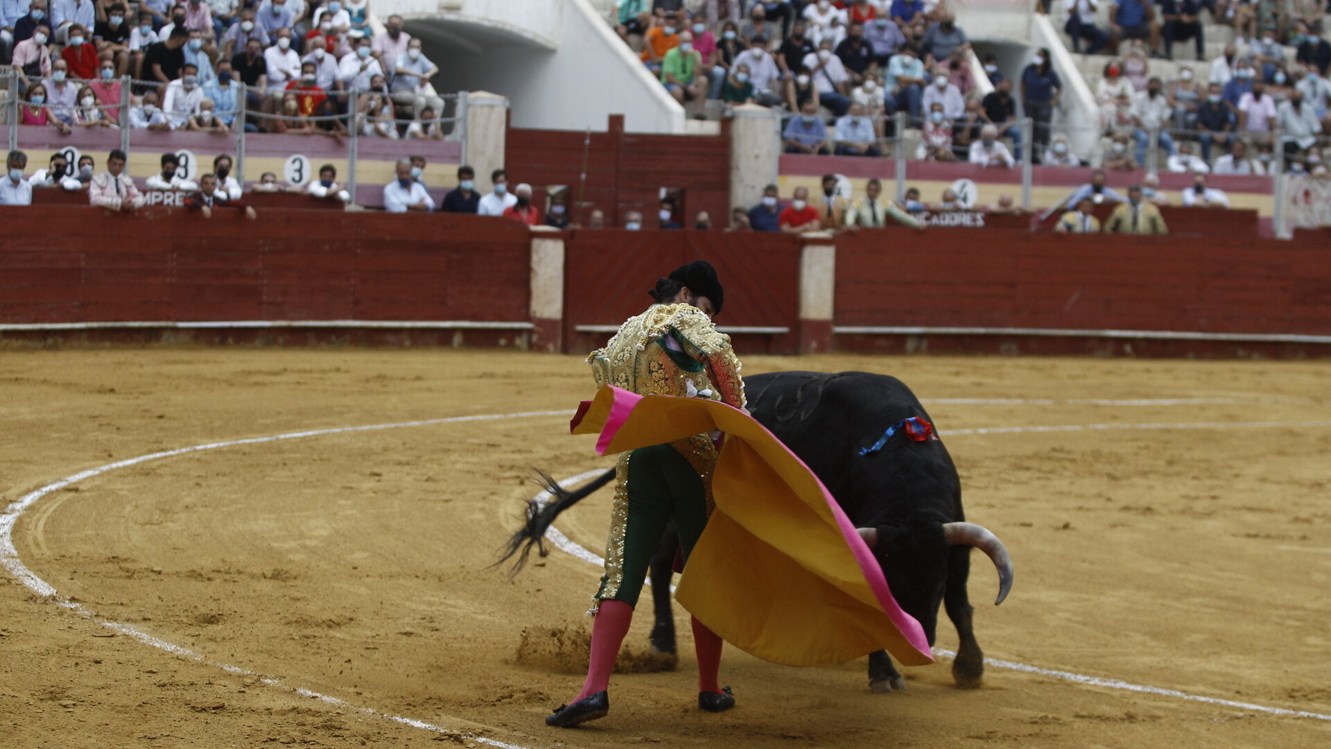 Fotogaler&iacute;a primera corrida de toros Feria de Almer&iacute;a
