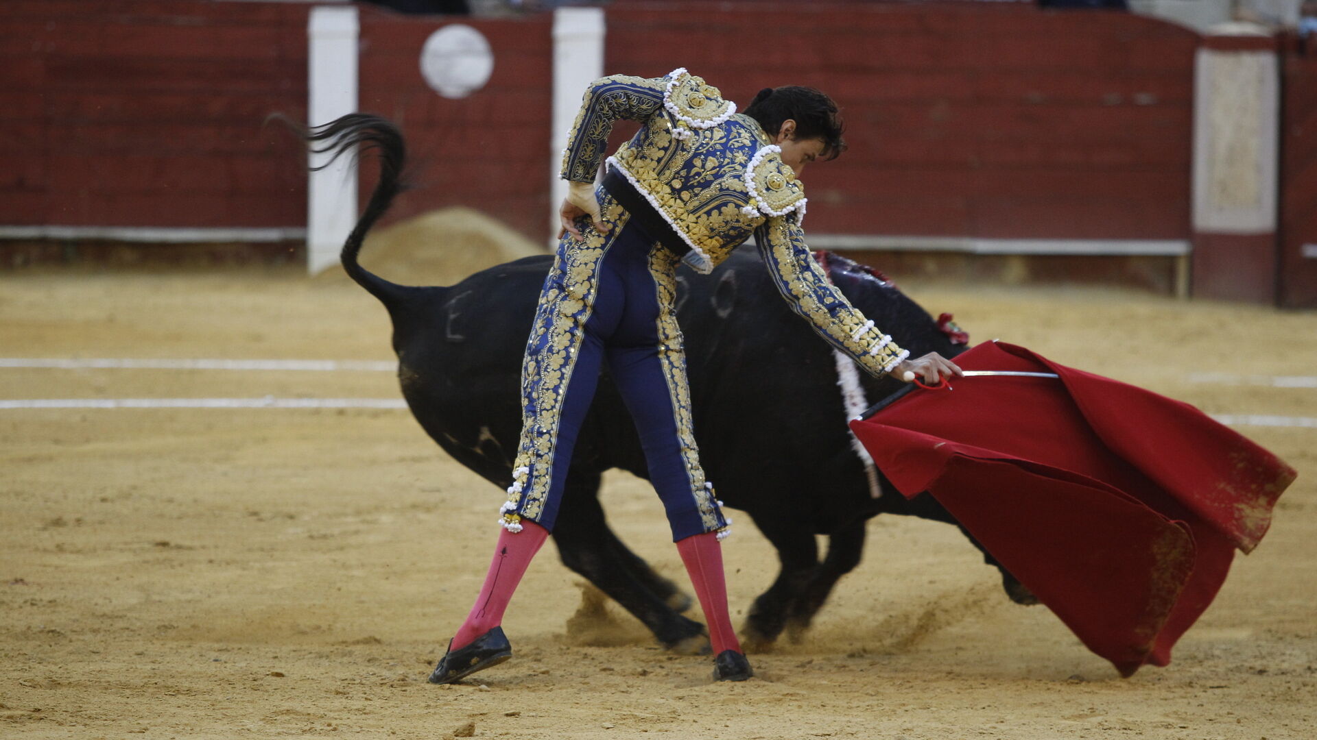 Fotogaler&iacute;a segunda corrida de toros Feria de Almeria 2021