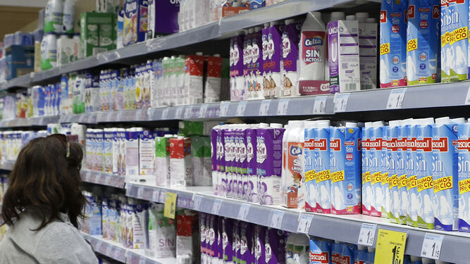 Según UPA, en España, el precio de los productos lácteos está por debajo de la media europea, lo que es especialmente preocupante en estos momentos en los que los costes de producción no dejan de aumentar.