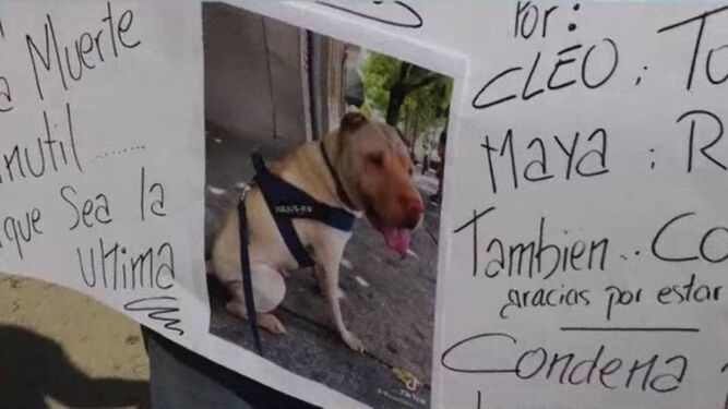 Fragmento de una pancarta con la que los vecinos de El Álamo denunciaban el maltrato animal en una guardería canina.