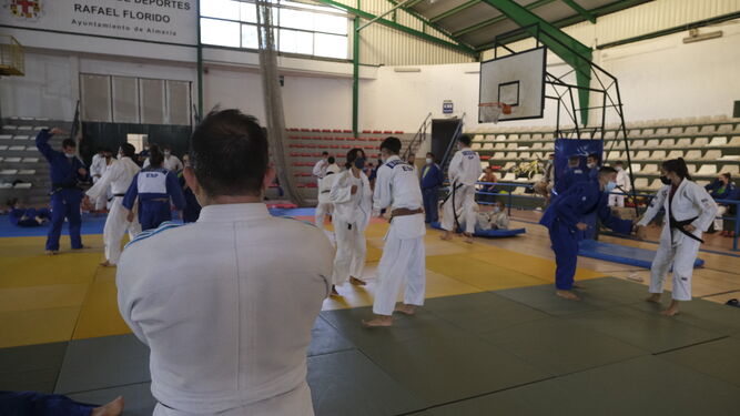 Jóvenes practicando judo.