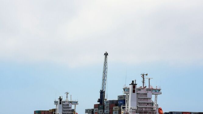 Portacontenedores de MSC y Maersk, navieras que tienen acuerdo con Grupo Cosentino, en el puerto de Almería