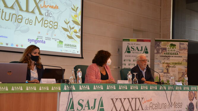 XXXIX Jornada sobre la Aceituna de Mesa celebrada por Asaja Sevilla en Huévar del Aljarafe.