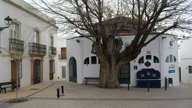 Oficina municipal de la Villa de Níjar