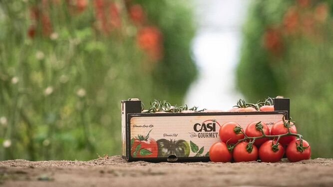 CASI mostrará sus 30 referencias de producto en Fruit Attraction