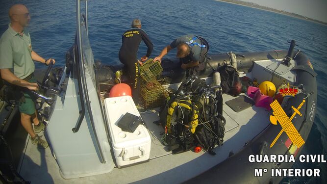 Retiran 70 nasas de pesca furtiva que han destruido "gran parte" de la posidonia oceánica frente a Retamar