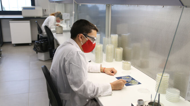 Laboratorio de biología celular en las nuevas instalaciones de Bayer en San Nicolás