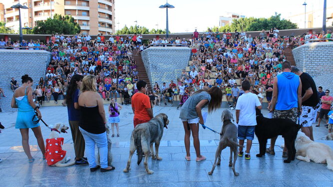 Concurso canino de la Feria de Almería