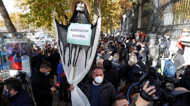 Protesta del campo almeriense por los altos costes de producción y la competencia desleal el 24 de noviembre en Madrid