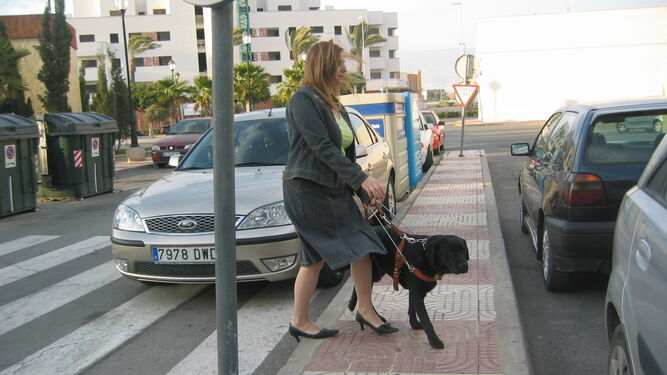 Una mujer recorre las calles de la ciudad con su perro guía