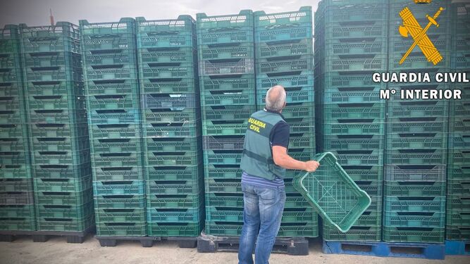 Dos detenidos por robar 500 cajas de envasado de productos agrícolas en Pechina