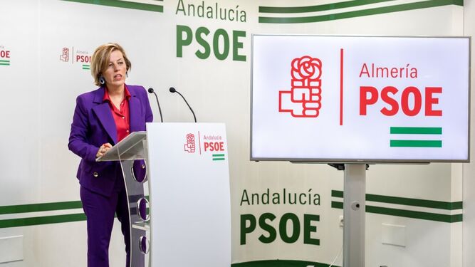 La diputada nacional por el PSOE de Almería, Sonia Ferrer Tesoro
