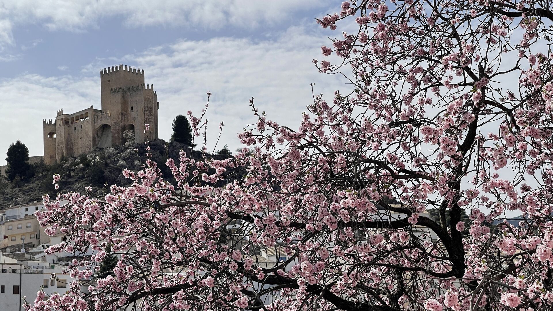 Pueblos de Almería para disfrutar de los almendros en flor