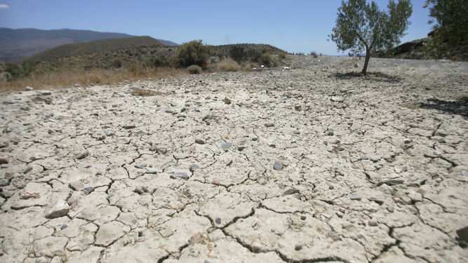 La sequía crea más y más cicatrices en el suelo acelerando la desertificación como es el caso de Tabernas.