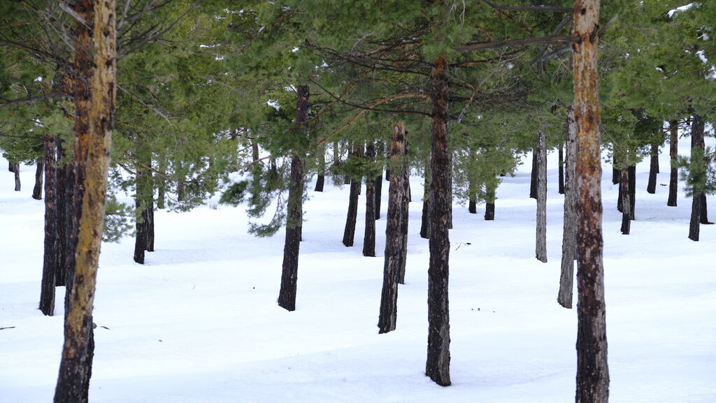 Im&aacute;genes del temporal de nieve en la provincia de Almer&iacute;a.