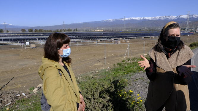 Sara González y Claudia Scholler explican el impacto "devastador" de las instalaciones fotovoltaicas a gran escala en el Campo de Tabernas