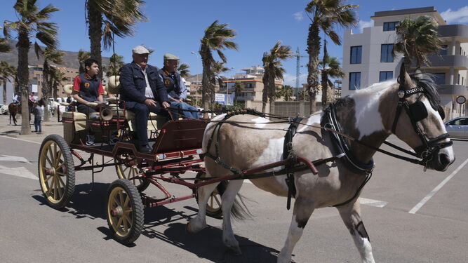 Hortalizas y caballos abren las fiestas de San Marcos en Adra