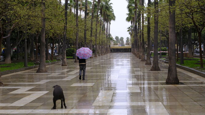 Lluvia en la Avenida Federico García Lorca de Almería.