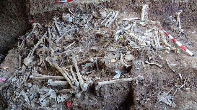 Una imagen de los huesos encontrados en la fosa común de 'Pico Reja'.