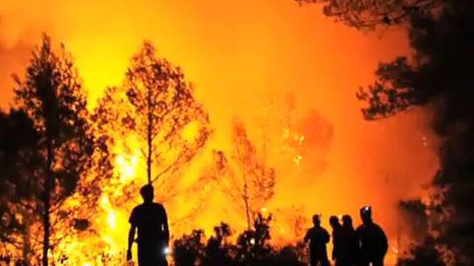 La desafortunada situación de Zamora ha recordado a la población española las graves consecuencias que pueden tener los incendios forestales