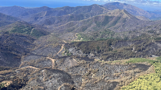 Imagen de la zona afectada por el incendio  de Pujerra y zona de Sierra Bermeja en Málaga.