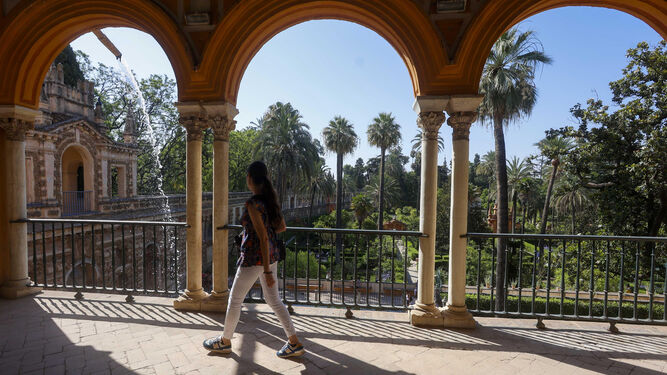 El Real Alcázar de Sevilla abre a las visitas uno de los escenarios icónicos de 'Juego de Tronos'.