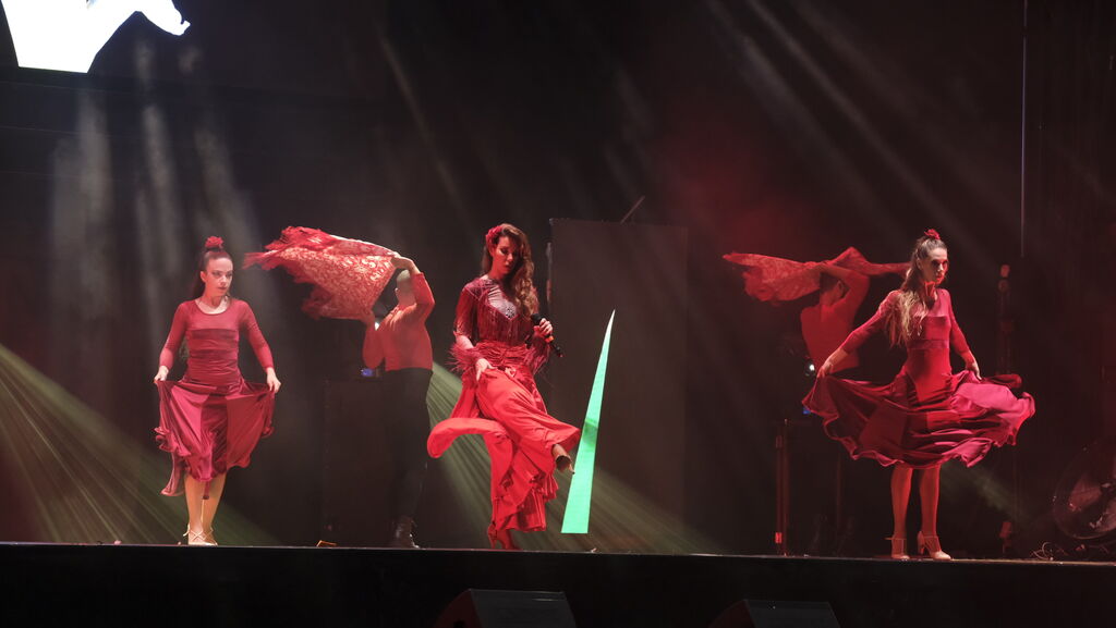 Imágenes del espectáculo 'The Talent' en la Gala XV Aniversario Diario de Almería