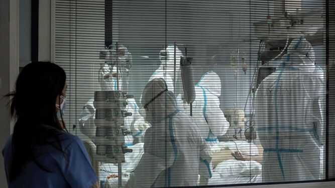 Los profesionales sanitarios atienden en la Unidad de Cuidados Intensivos a un paciente que ingresó grave infectado por coronavirus