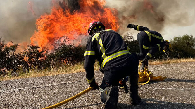 Efectivos de los bomberos trabajando en un incendio