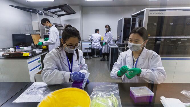 Varios técnicos trabajan en un laboratorio chino en Nanjing.