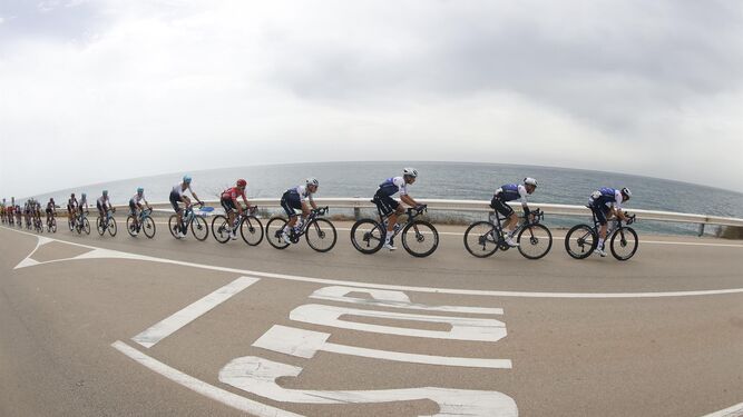 El pelotón durante la duodécima etapa de la Vuelta disputada este jueves entre Salobreña y Peñas Blancas, en Estepona.