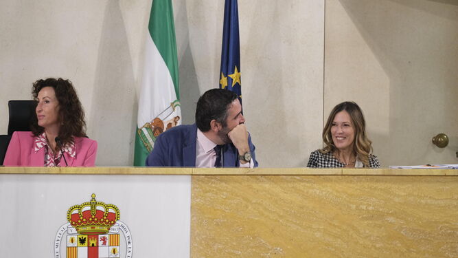 María Vázquez, Juanjo Alonso y Ana Martínez Labella, en el Pleno