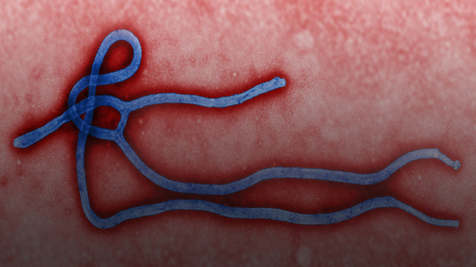 Nuevo brote de ébola