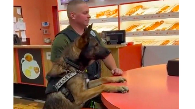 Este perro policía recibe un jugoso premio cada día al terminar de trabajar