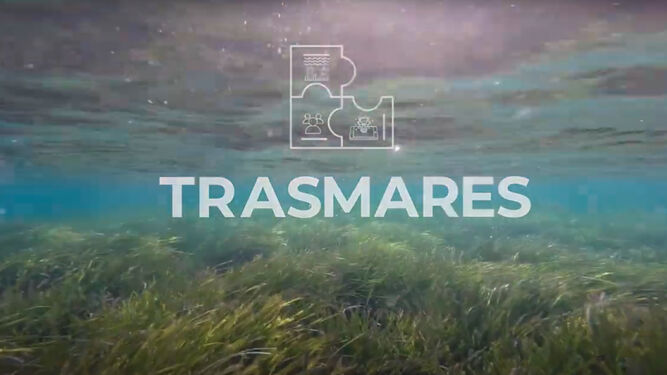 Imagen del proyecto TRASMARES.