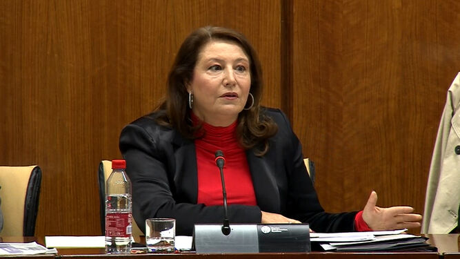 Carmen Crespo en la comisión parlamentaria