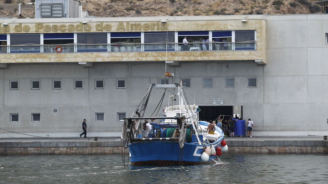 Llega de una embarcación pesquera a la lonja de Almería