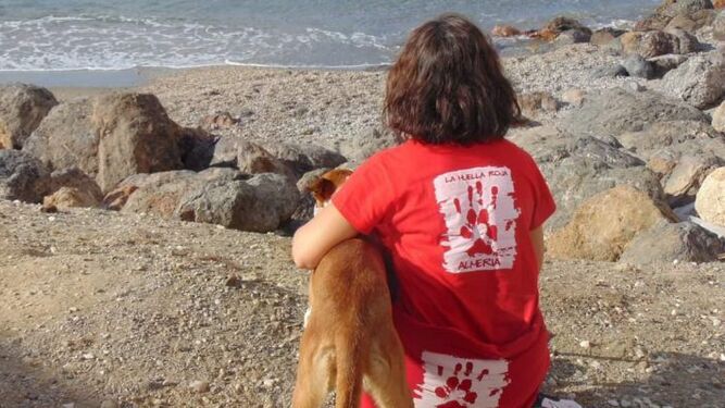 Gran iniciativa del Poli Almería en beneficio de las mascotas